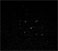 M44 - deutlich erkennbar: Das zentrale Sternenviereck. Projektion am 3" Zeiss-Refrektor mit der Webcam!